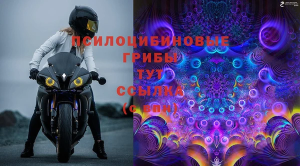гашик Богданович