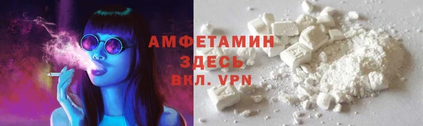 дживик Богородицк