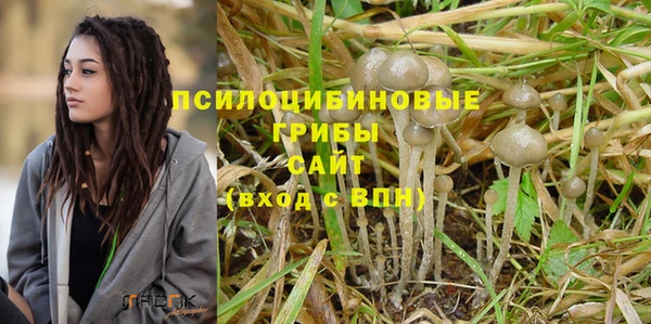 амф Аркадак