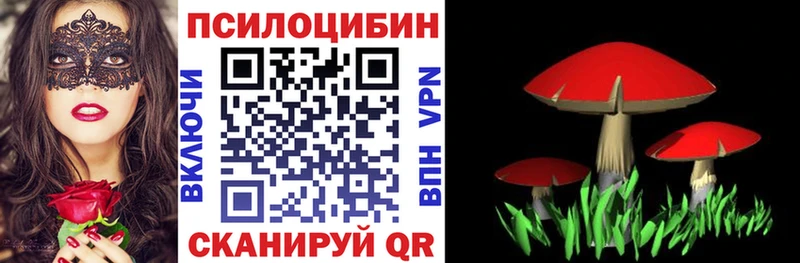 цены наркотик Сураж Псилоцибиновые грибы мицелий